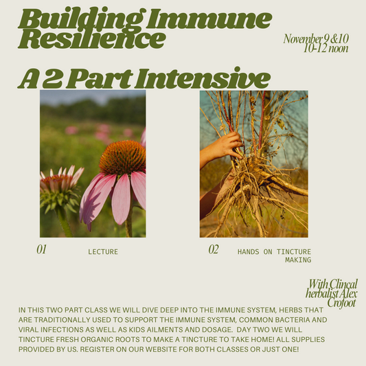 Building Immune Resilience November 9 & 10th