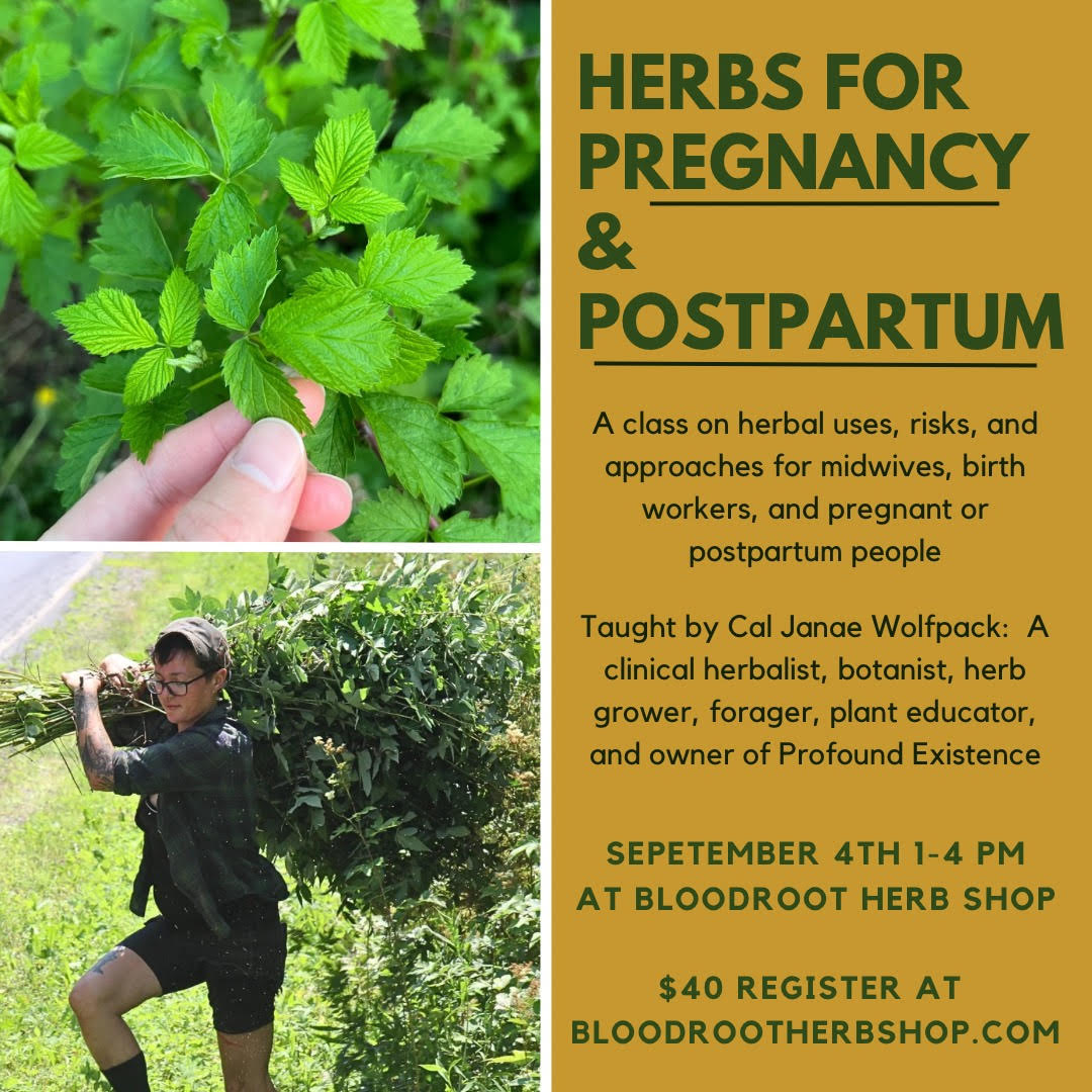 Herbs For Pregnancy & Postpartum | Sept 4th