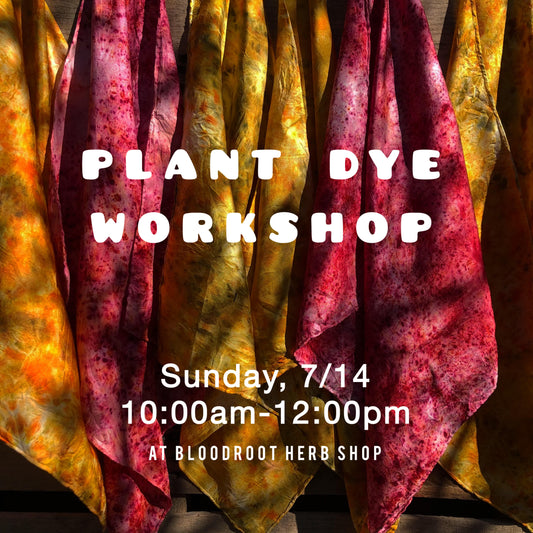 Plant Dye Workshop | July 14th